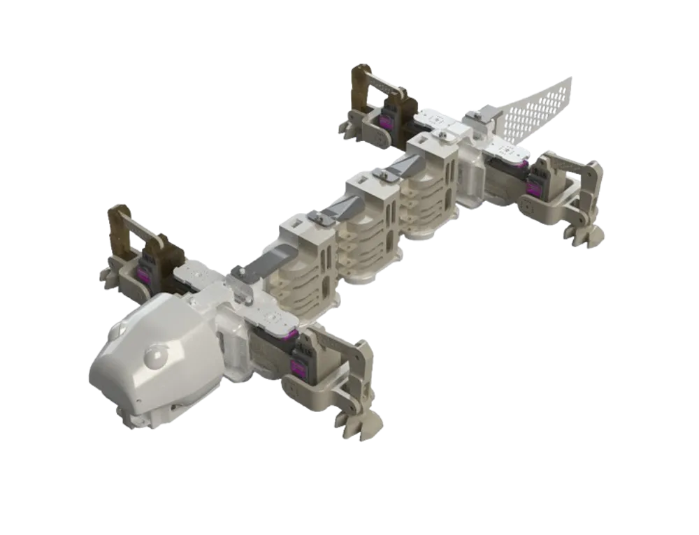 Robot SALLI